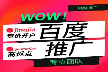 百度推广与SEO结合的营销策略案例分享